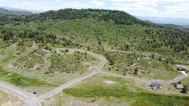 a view of a forest with a forest