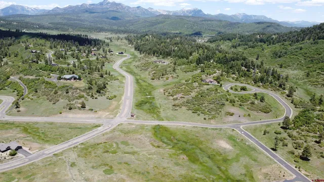 a view of a mountain from a yard