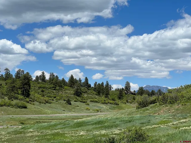 a view of a big yard with lots of green space