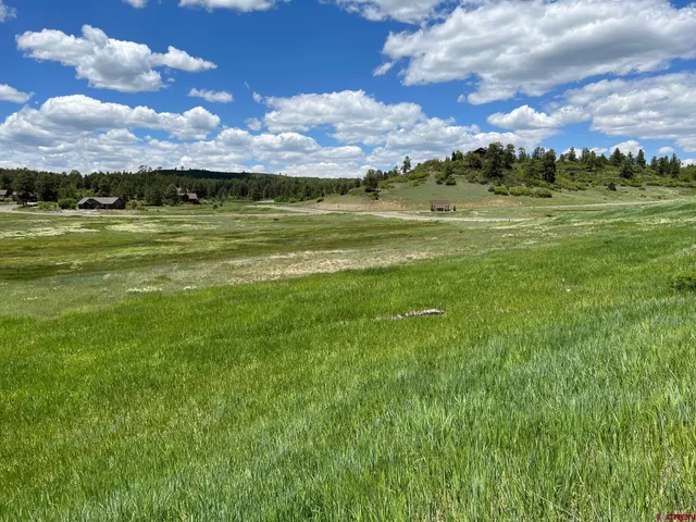 a view of a big room with a big yard
