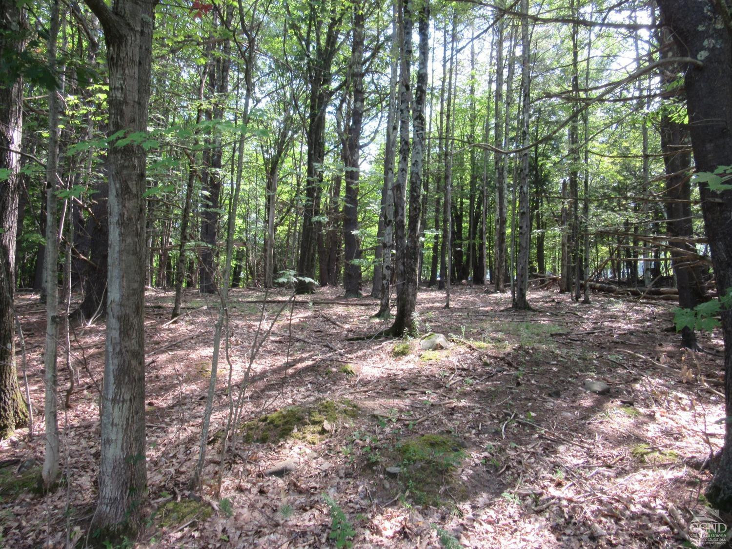 0 Lakeview Road East Durham, NY 12423 - Photo 1 of 14 Photo 1