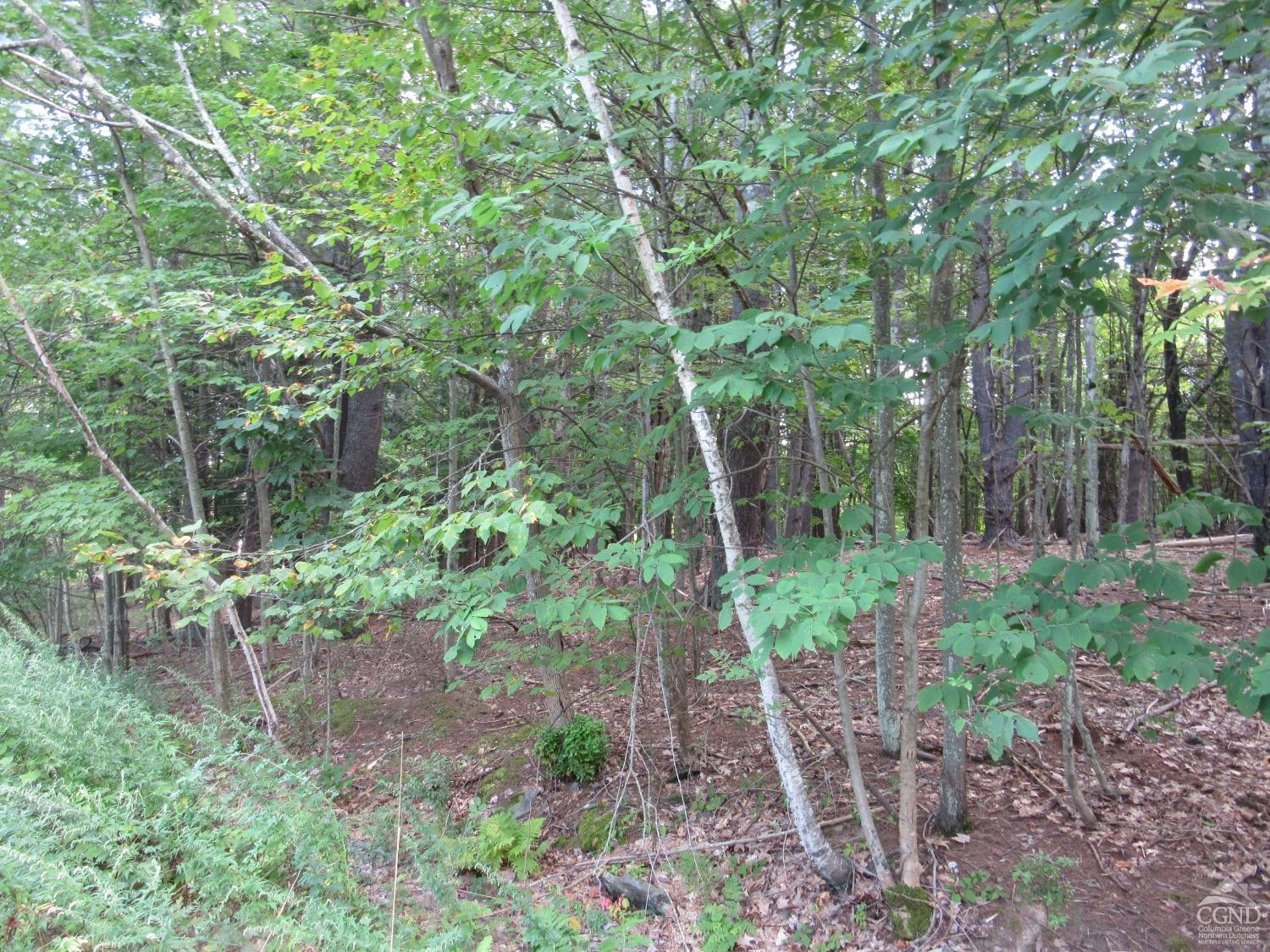 0 Lakeview Road East Durham, NY 12423 - Photo 11 of 14 Photo 11