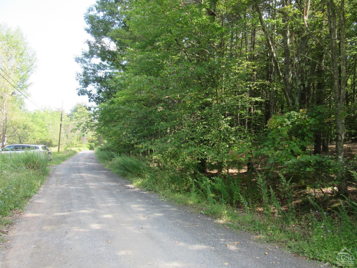 0 Lakeview Road East Durham, NY 12423 - Photo 12 of 14 Photo 12