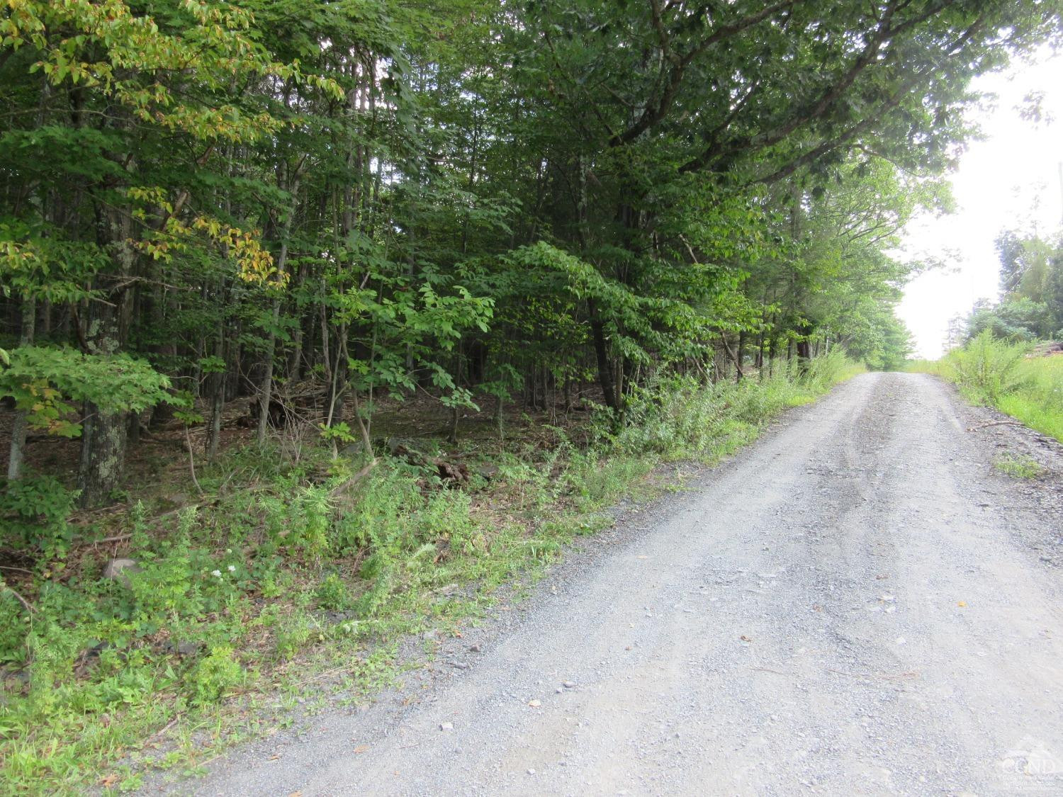 0 Lakeview Road East Durham, NY 12423 - Photo 13 of 14 Photo 13