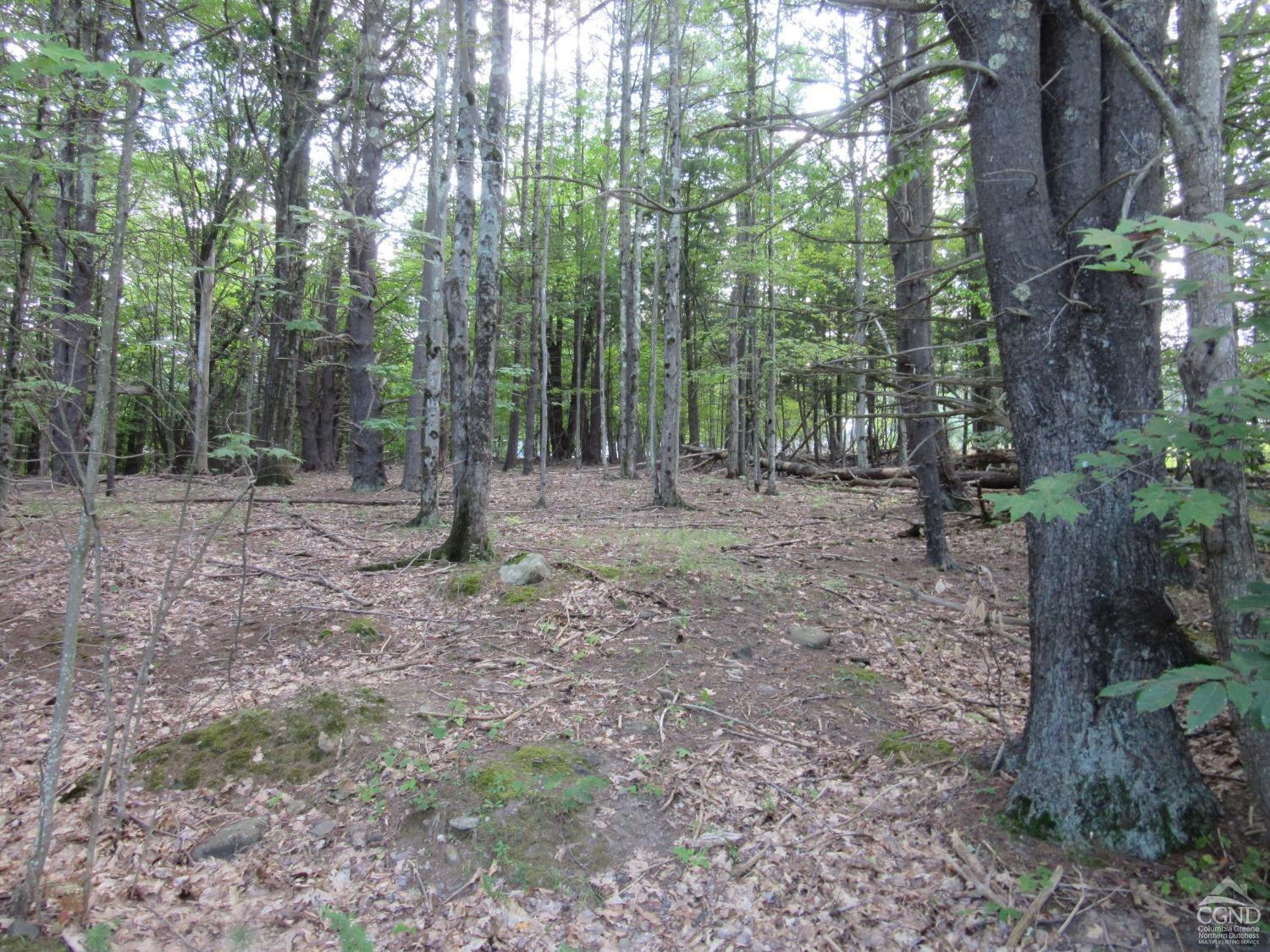 0 Lakeview Road East Durham, NY 12423 - Photo 3 of 14 Photo 3