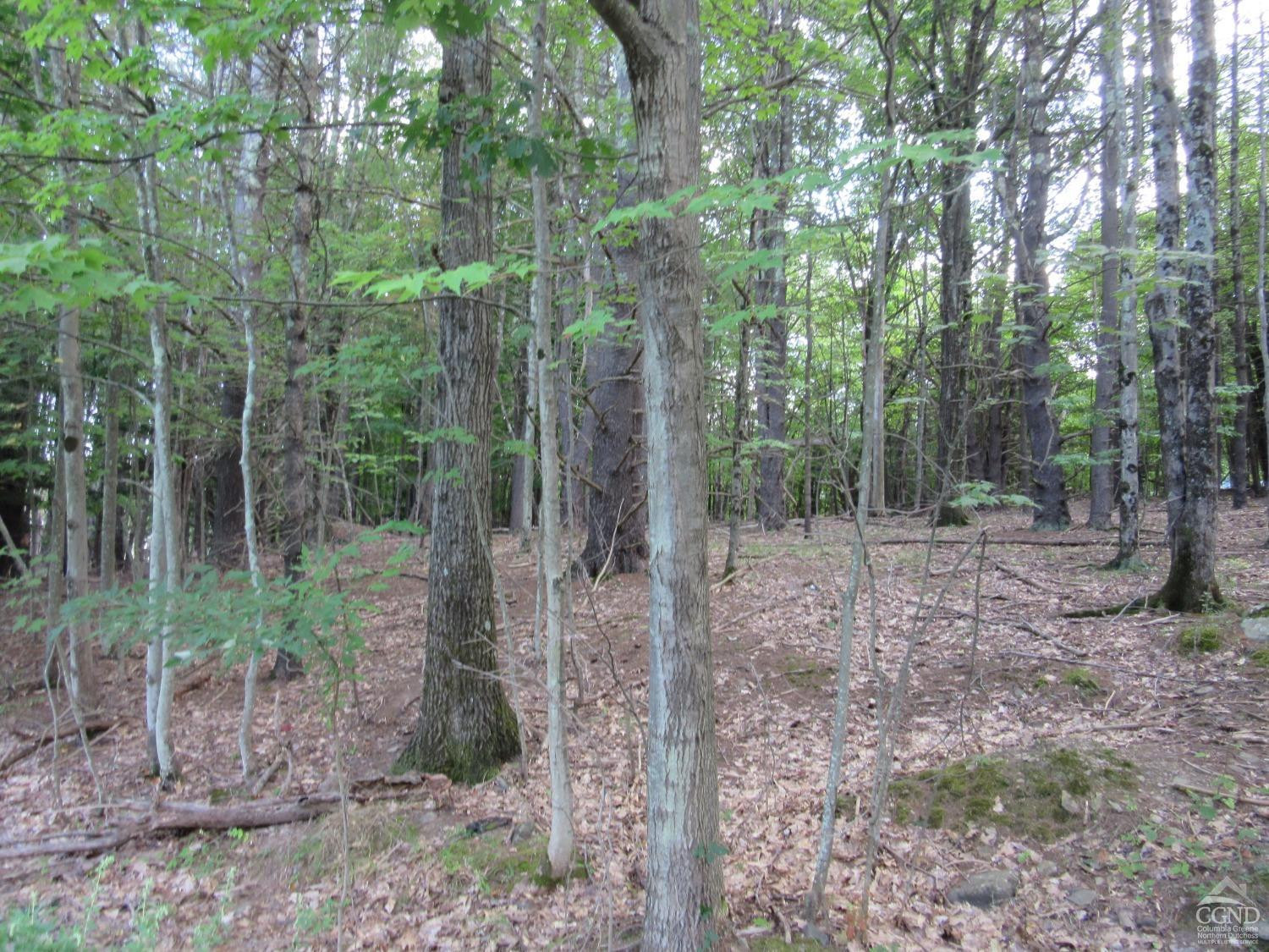 0 Lakeview Road East Durham, NY 12423 - Photo 4 of 14 Photo 4