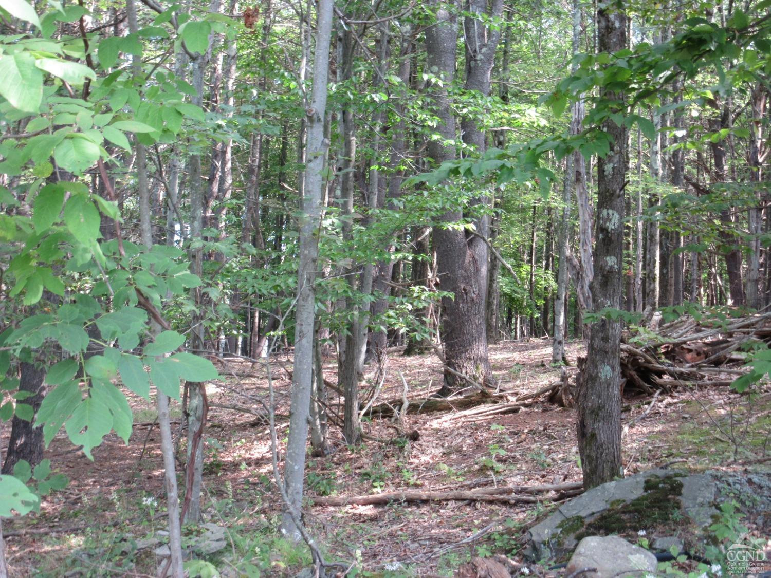0 Lakeview Road East Durham, NY 12423 - Photo 5 of 14 Photo 5