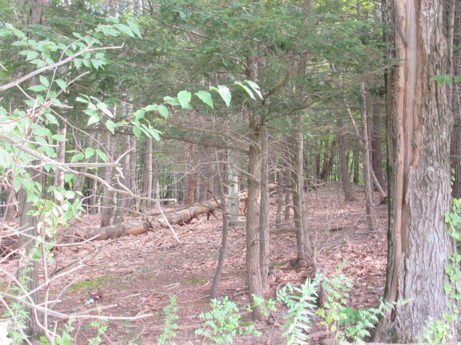 0 Lakeview Road East Durham, NY 12423 - Photo 6 of 14 Photo 6