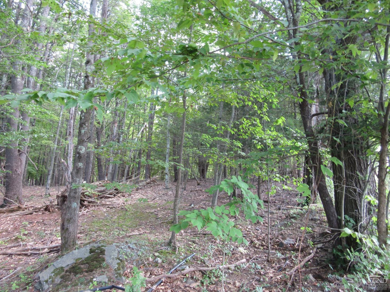 0 Lakeview Road East Durham, NY 12423 - Photo 7 of 14 Photo 7
