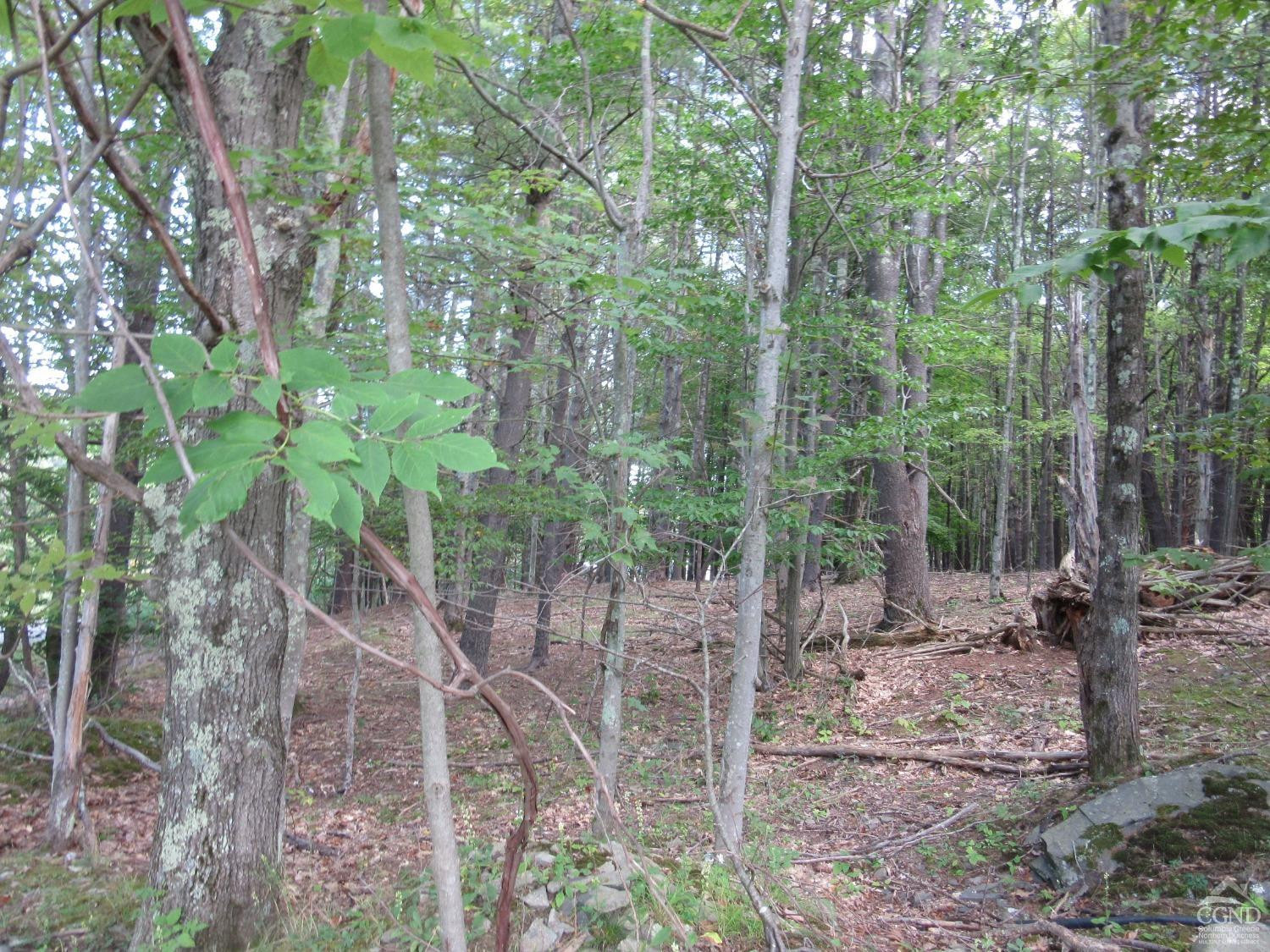 0 Lakeview Road East Durham, NY 12423 - Photo 8 of 14 Photo 8