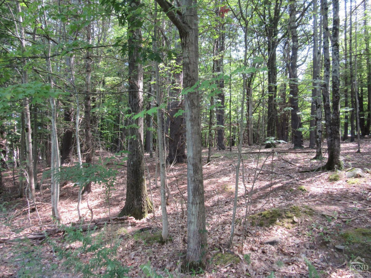 0 Lakeview Road East Durham, NY 12423 - Photo 9 of 14 Photo 9