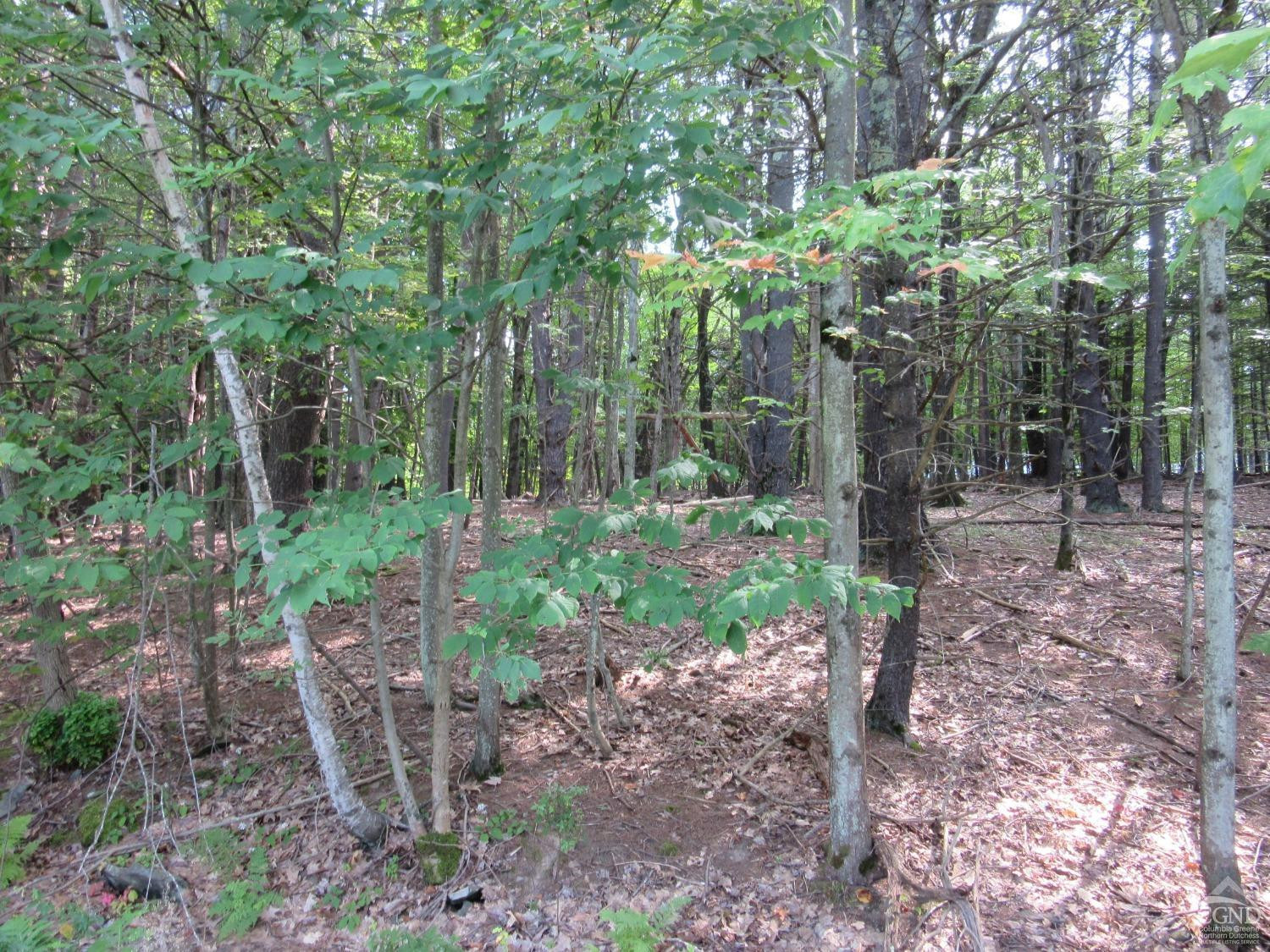 0 Lakeview Road East Durham, NY 12423 - Photo 10 of 14 Photo 10