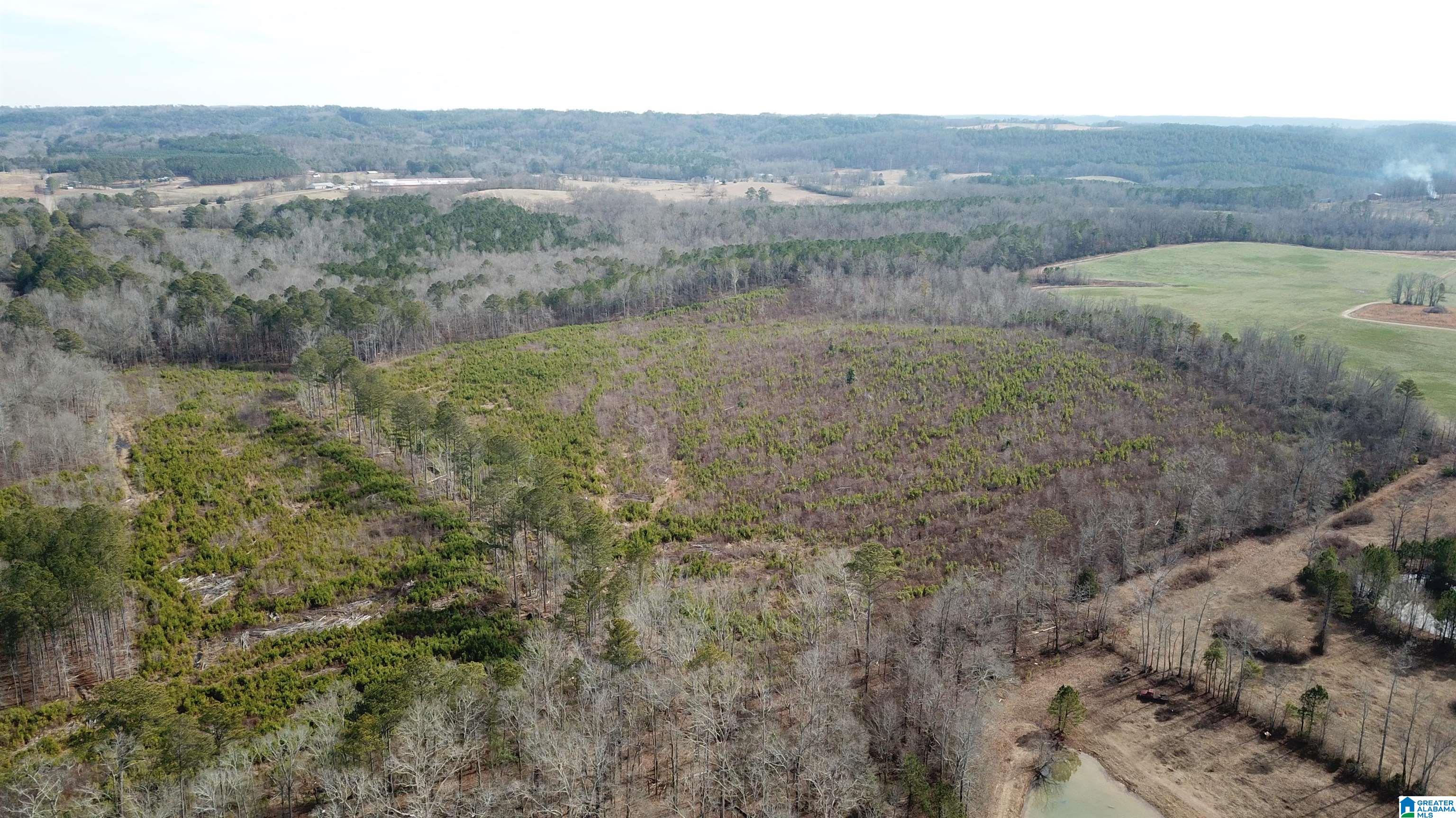0 Altoona Cutoff Road, Unit 47 5 Oneonta, AL 35121 - Photo 30 of 36