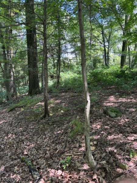 28 Hillside Road Wanaque, NJ 07465 - Photo 2 of 4