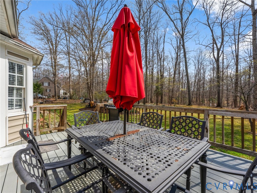 3489 Richards Run Powhatan, VA 23139 - Photo 39 of 48