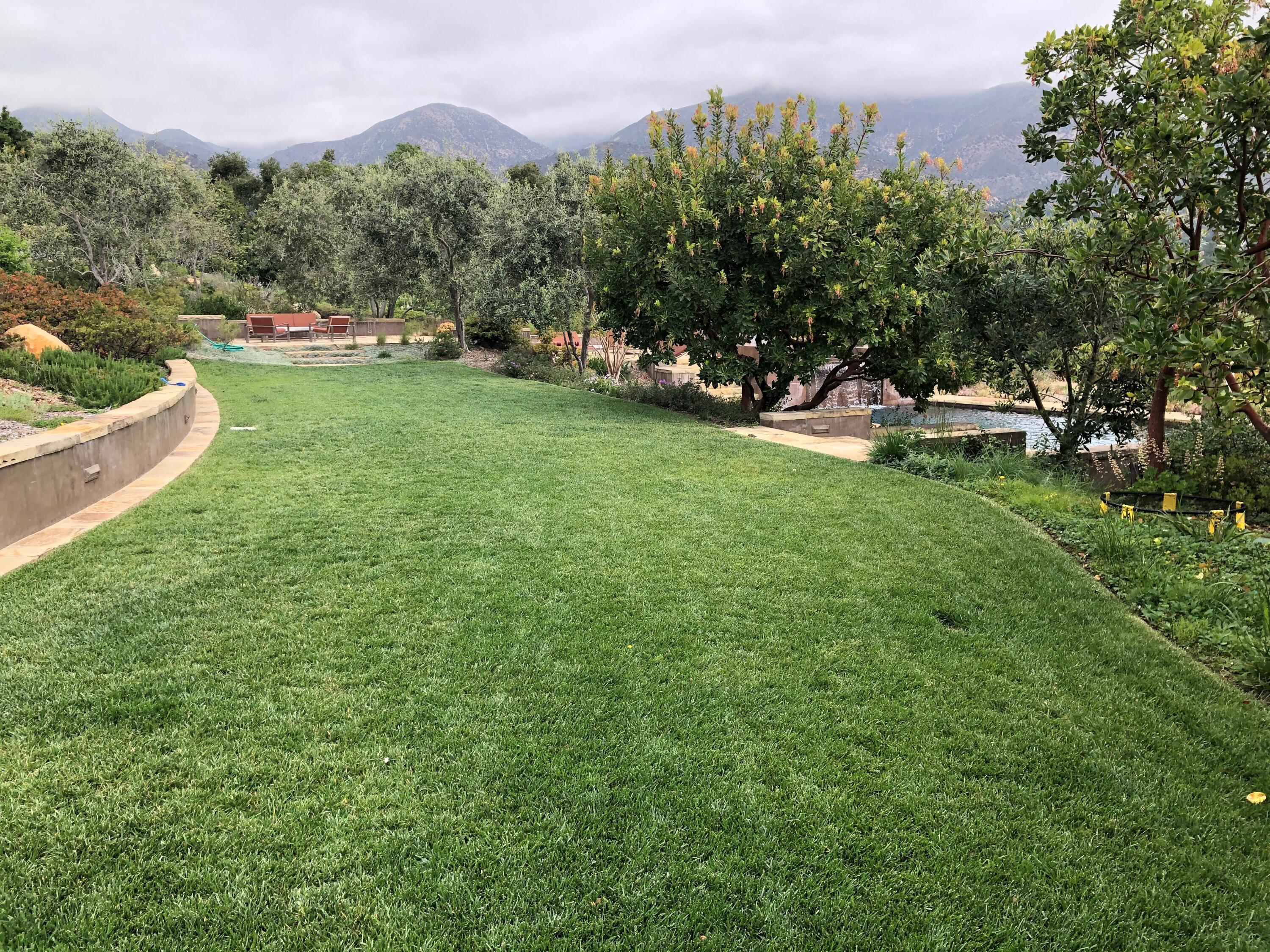 2662 Sycamore Canyon Road Santa Barbara, CA 93108 - Photo 22 of 25 Lawn