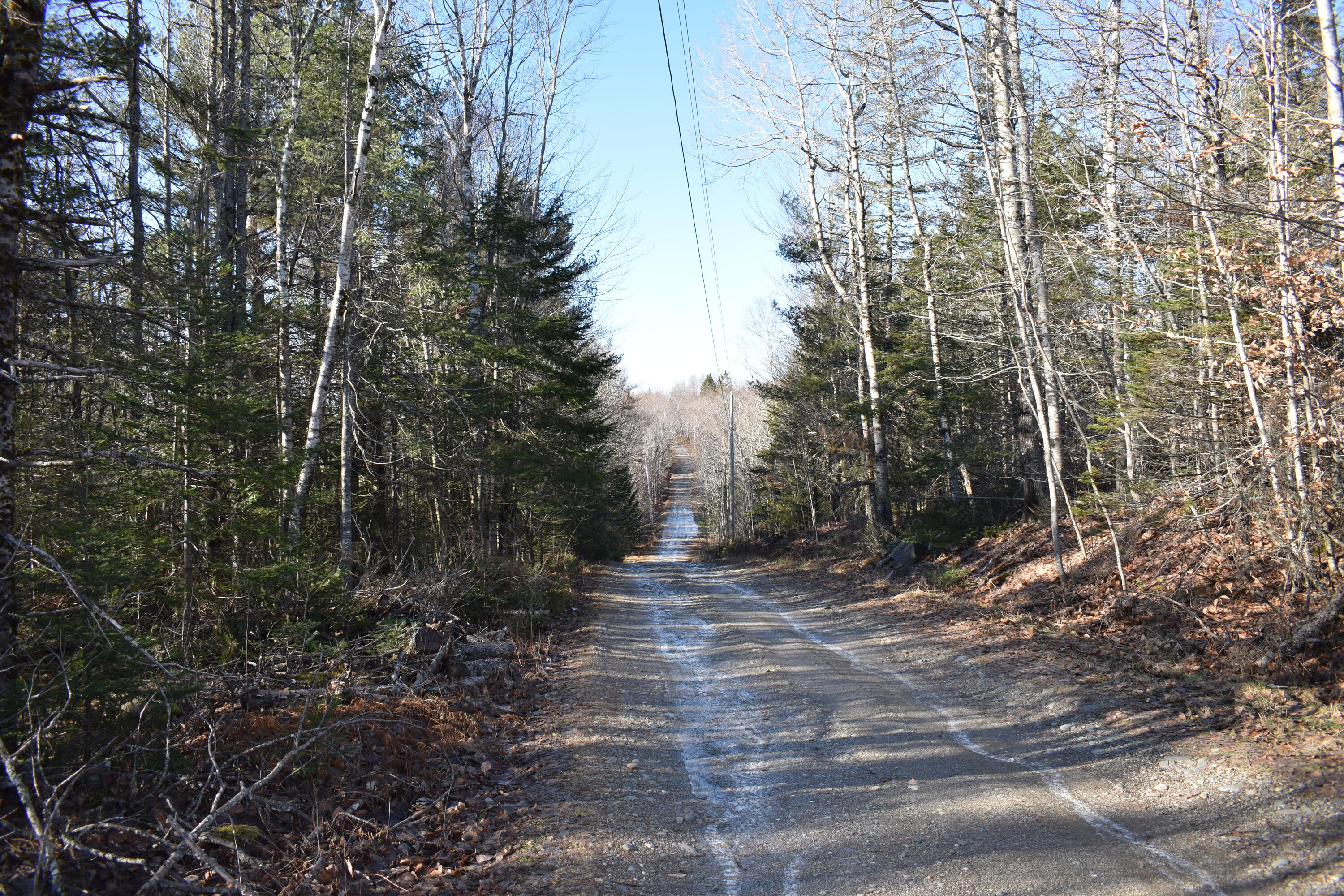 Lot 21-11 Moores Road Springfield, ME 04487 - Photo 6 of 17 DSC_0371