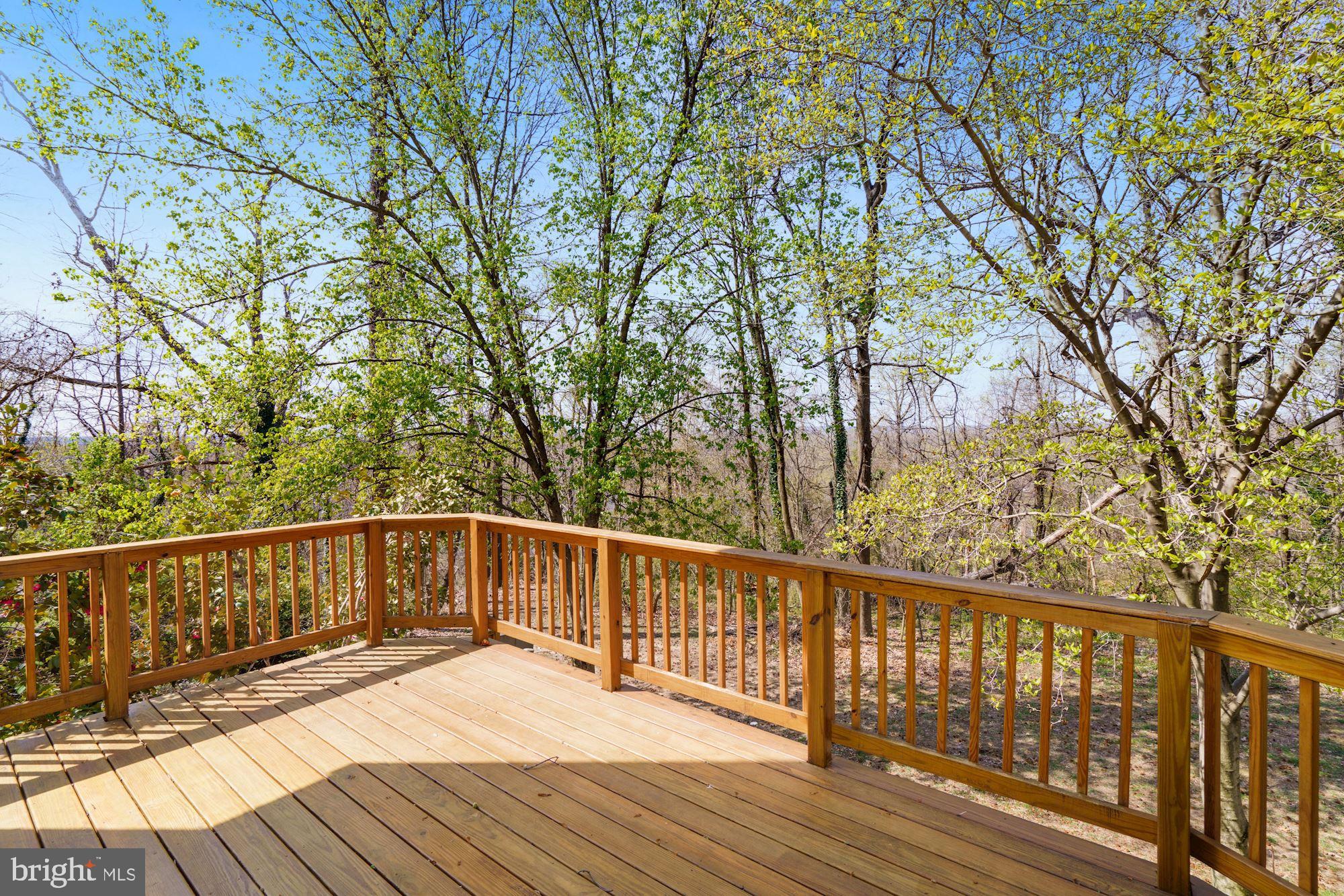 3652 Ransom Place Alexandria, VA 22306 - Photo 12 of 30 Upper Deck in the Trees