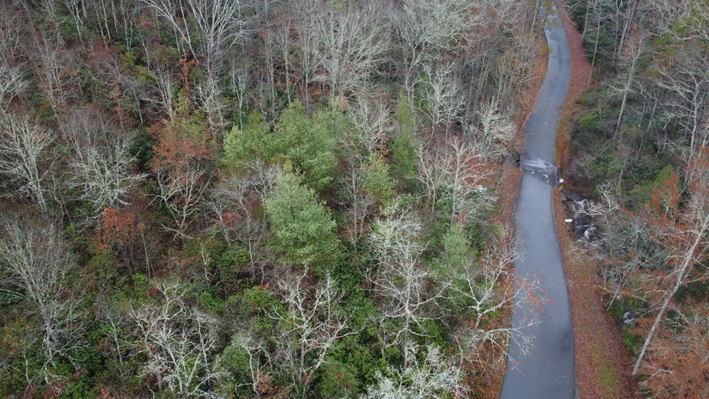 10.6-ac Cross Crk Cv Road Andrews, NC 28901 - Photo 4 of 38