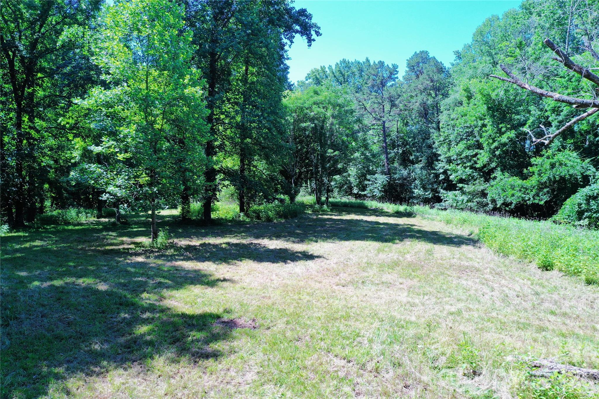 0 River Road Tryon, NC 28782 - Photo 10 of 30