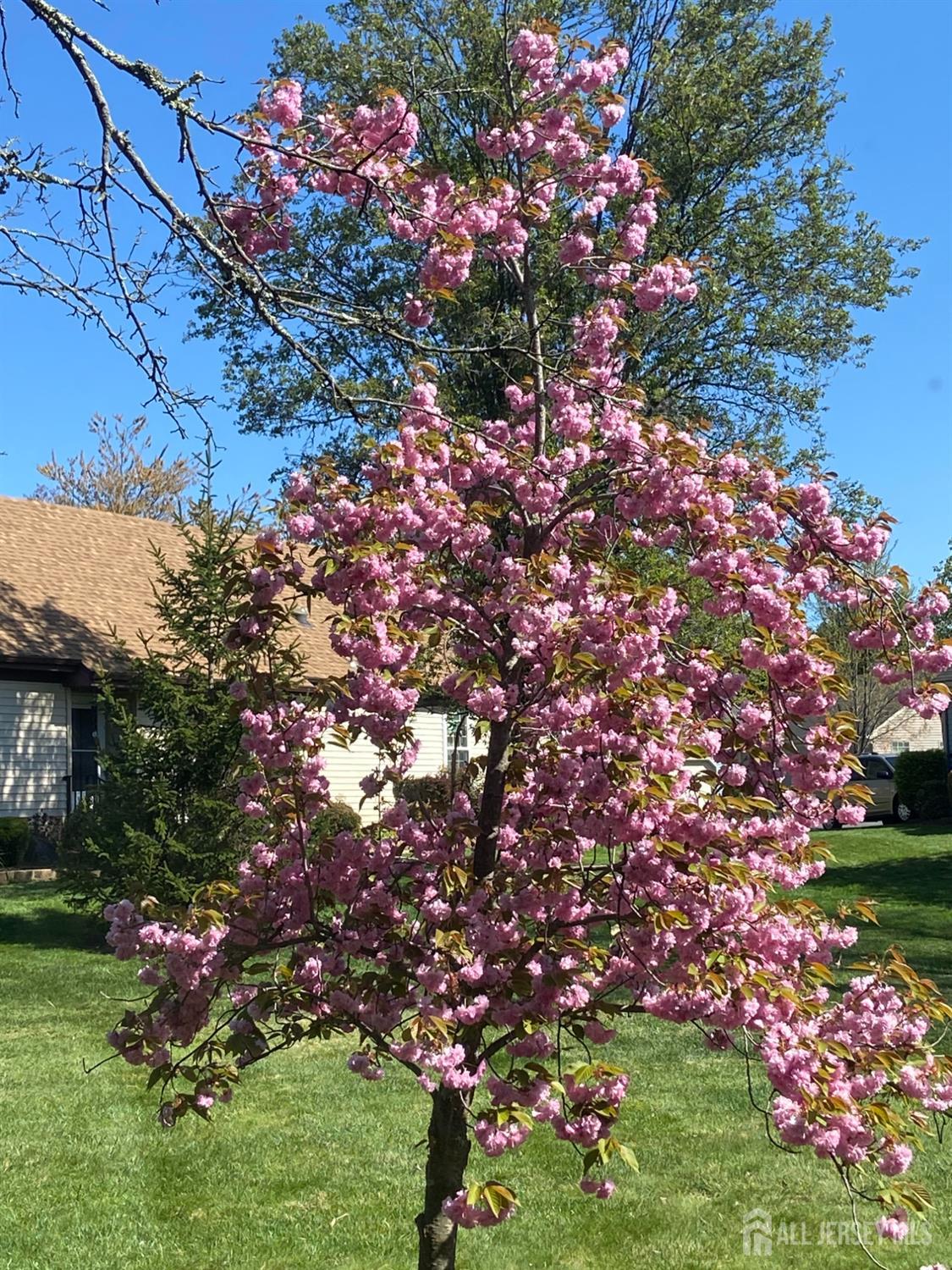 8 Benjamin Franklin Drive, Unit C Monroe Township, NJ 08831 - Photo 6 of 9