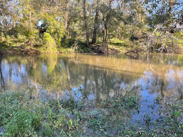 3998 County Road 612 Angleton, TX 77515 - Photo 47 of 47 a view of lake with green space