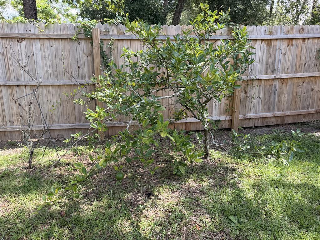 5360 Olancha Road Dade City, FL 33523 - Photo 32 of 49 Gallery Image 32