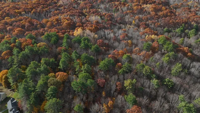 $110,000 | M R6-lot18 M R6-lot18 Lisbon Street, Lisbon, ME 04250