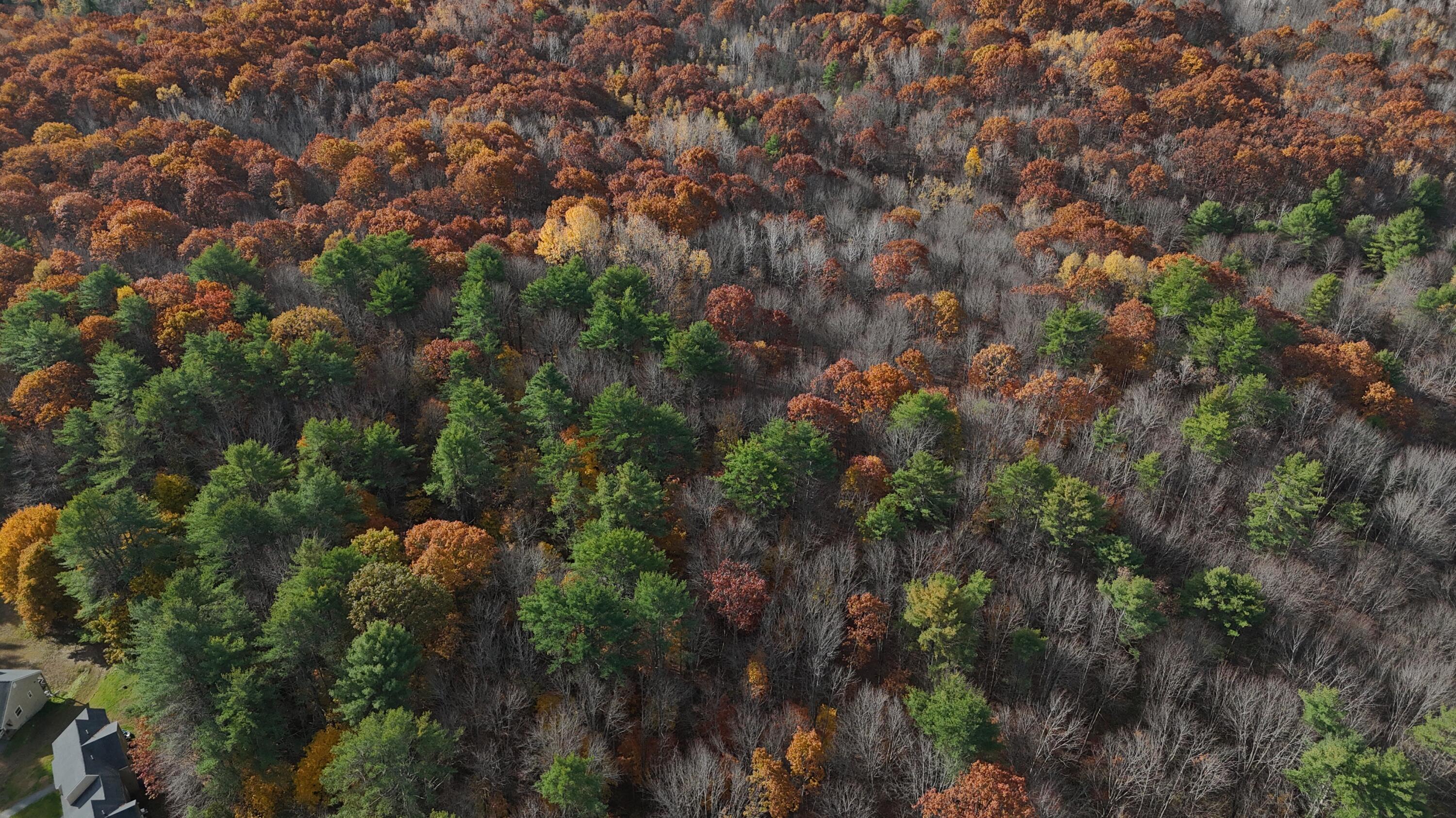 DJI_20251027065655_0129_D