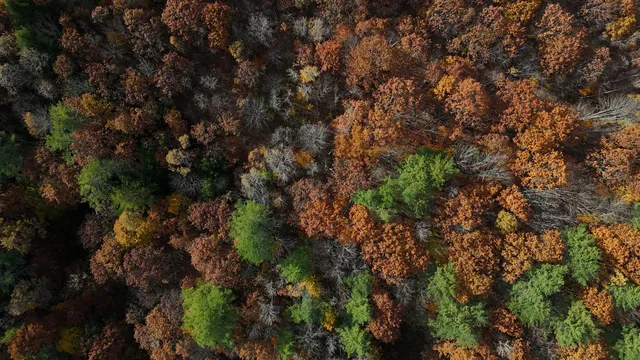 $110,000 | M R6-lot18 M R6-lot18 Lisbon Street, Lisbon, ME 04250