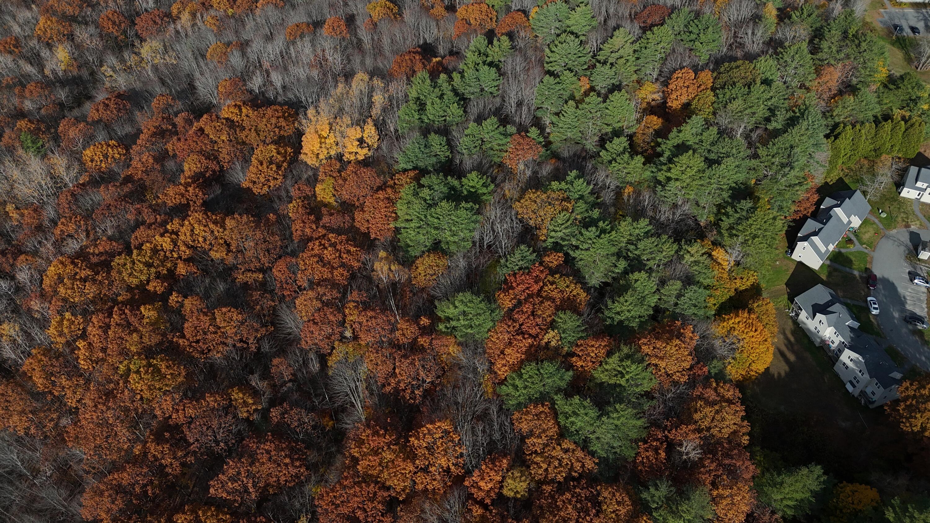 M R6-lot18 M R6-lot18 Lisbon Street Lisbon, ME 04250 - Photo 3 of 4 DJI_20251027065743_0131_D