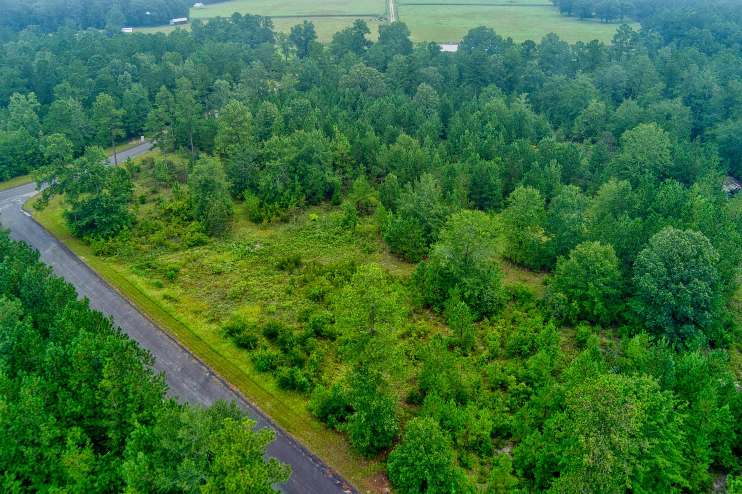 Lot 5 Cooks Pond Road Windsor, SC 29856 - Photo 12 of 23