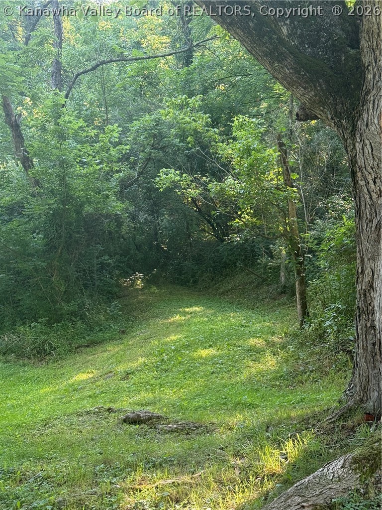 Gallery Image 6