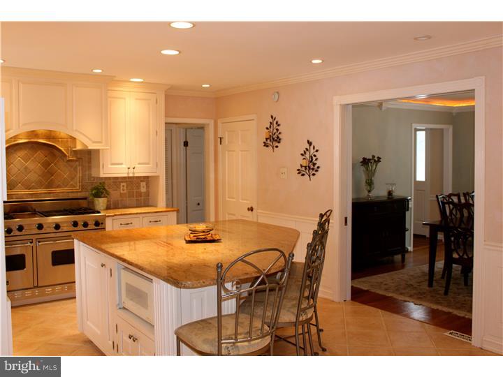 256 Church Road Devon, PA 19333 - Photo 14 of 24 Kitchen