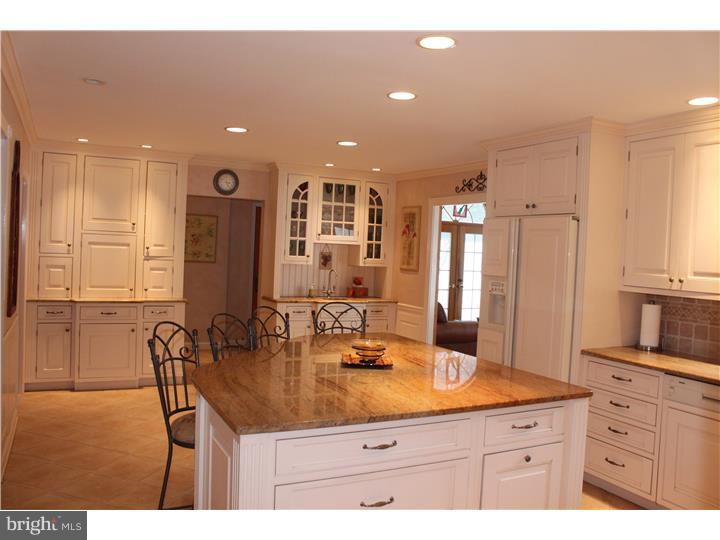 256 Church Road Devon, PA 19333 - Photo 4 of 24 Kitchen