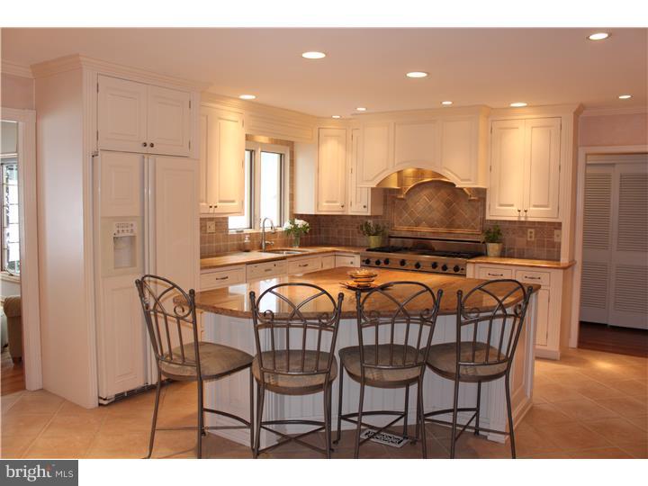 256 Church Road Devon, PA 19333 - Photo 5 of 24 Kitchen