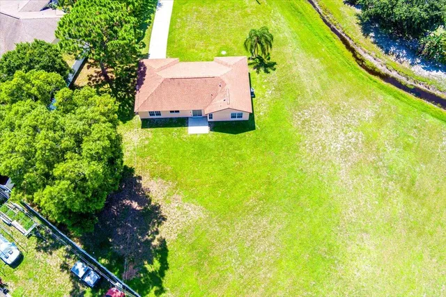 a view of a bunch of plants