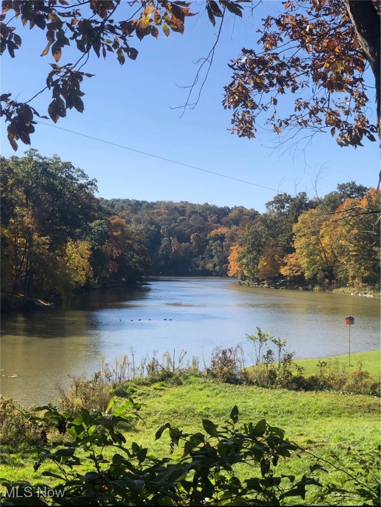 574 Bramble Road Southwest Carrollton, OH 44615 - Photo 13 of 13 Property view of water featuring a forest view