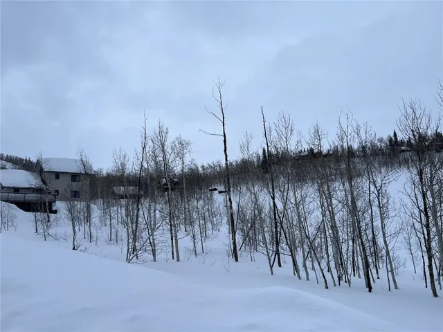 a view of a dry yard