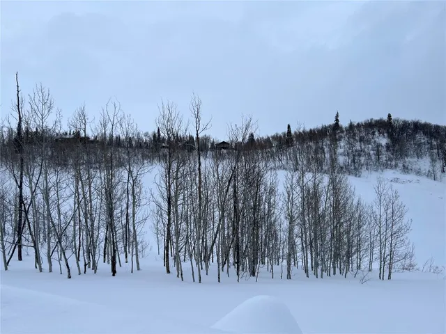 a picture of city view