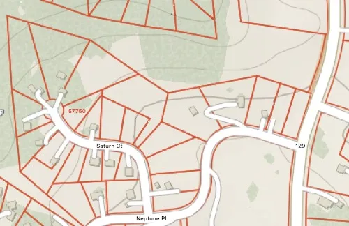 a view of a garden with a tree