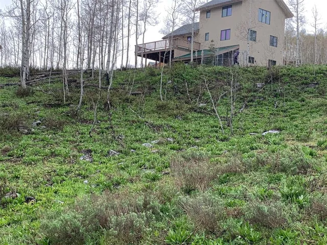 a view of a yard with plants and trees