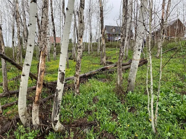 a view of a green field with clear sky