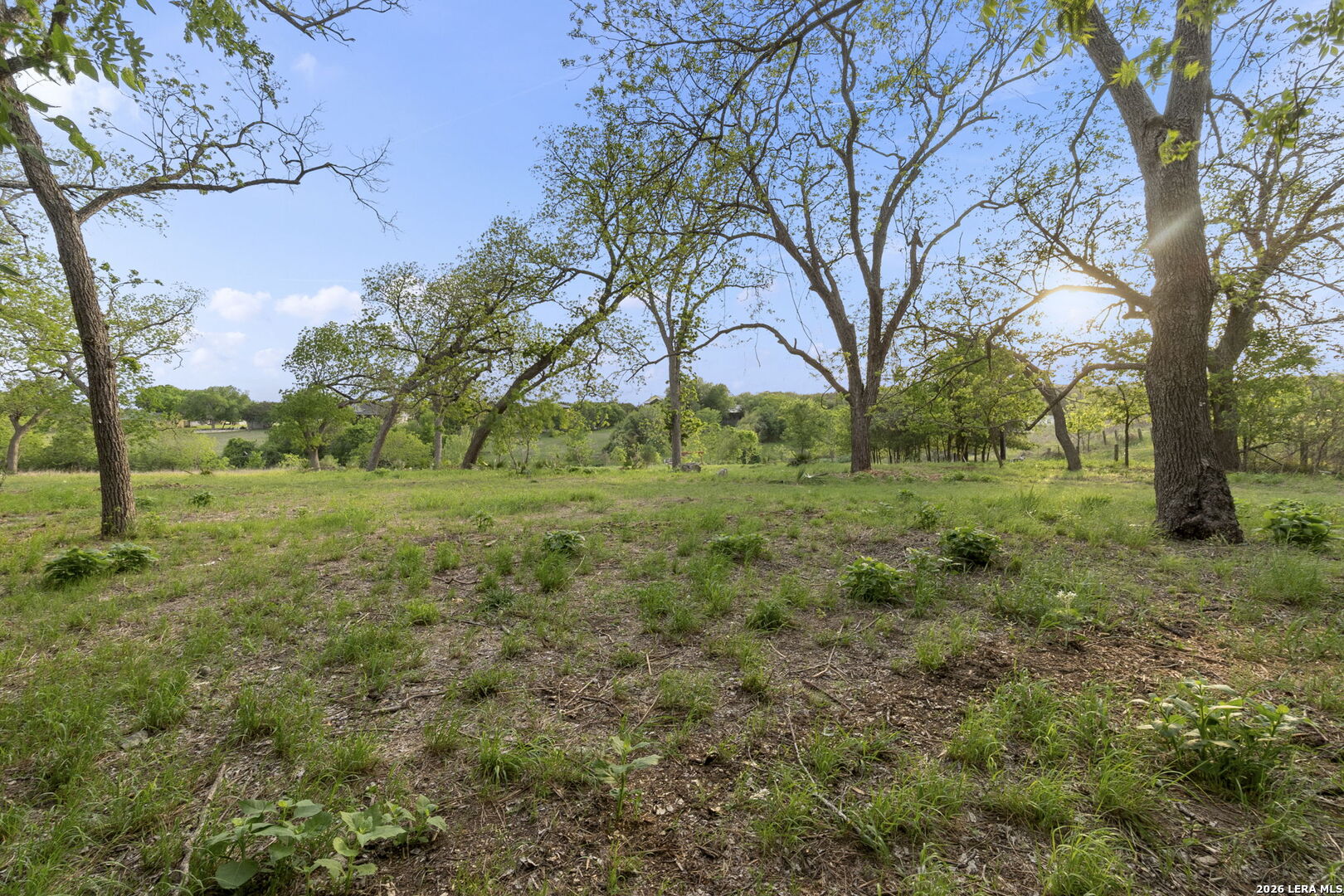 3701 Fischer Store Road Wimberley, TX 78676 - Photo 47 of 50