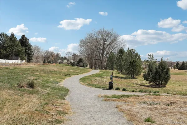 a view of road with a snow on the road