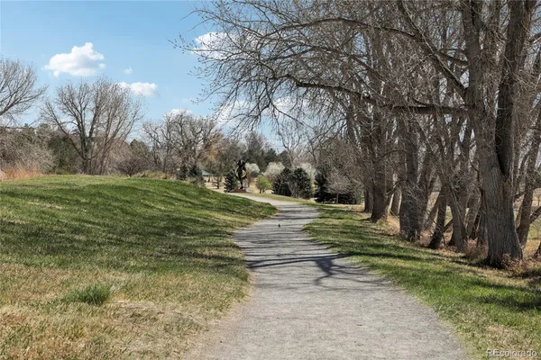 a view of road with large trees