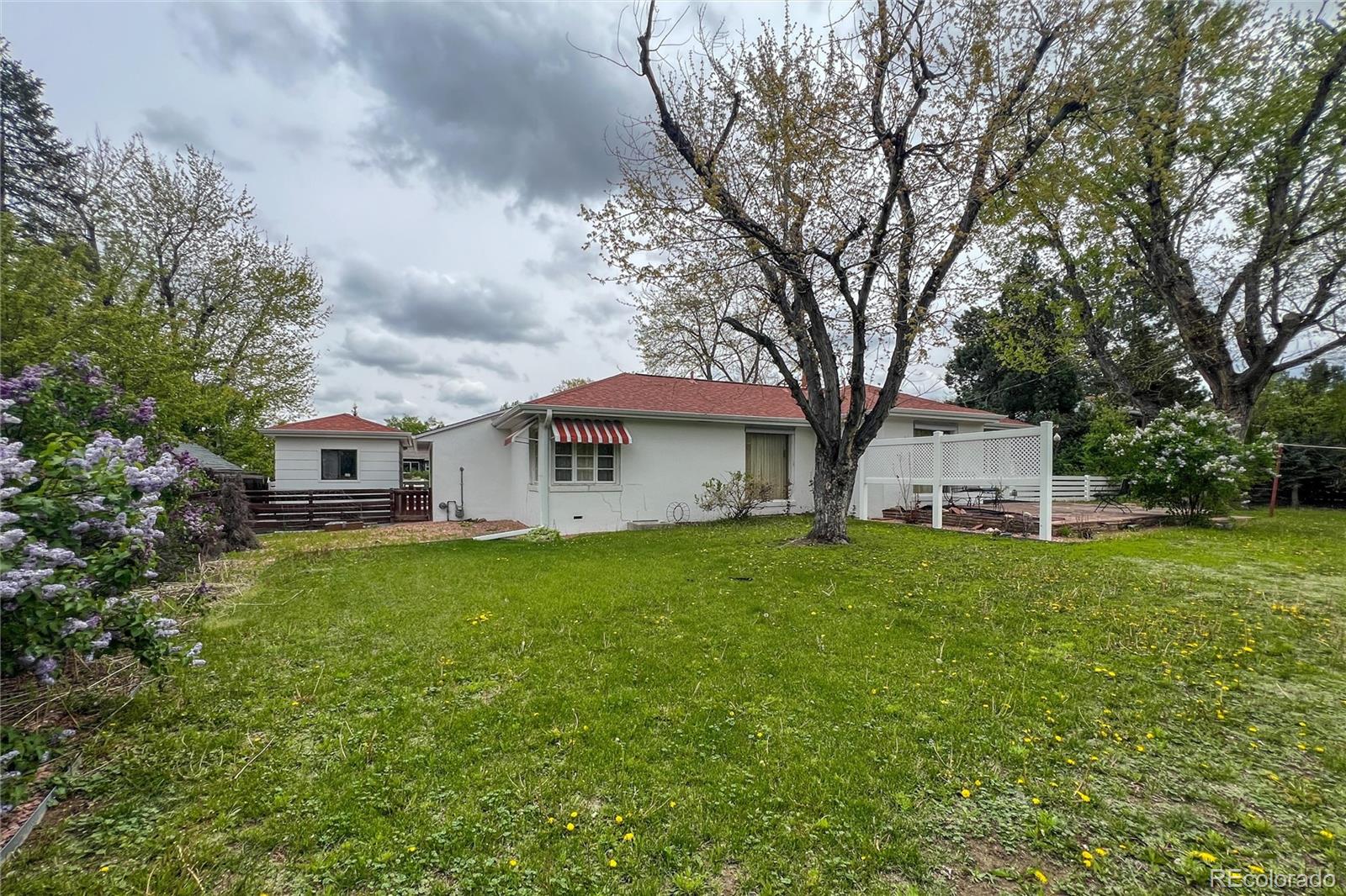 3345 Jay Street Wheat Ridge, CO 80033 - Photo 32 of 40 a front view of house with yard and trees