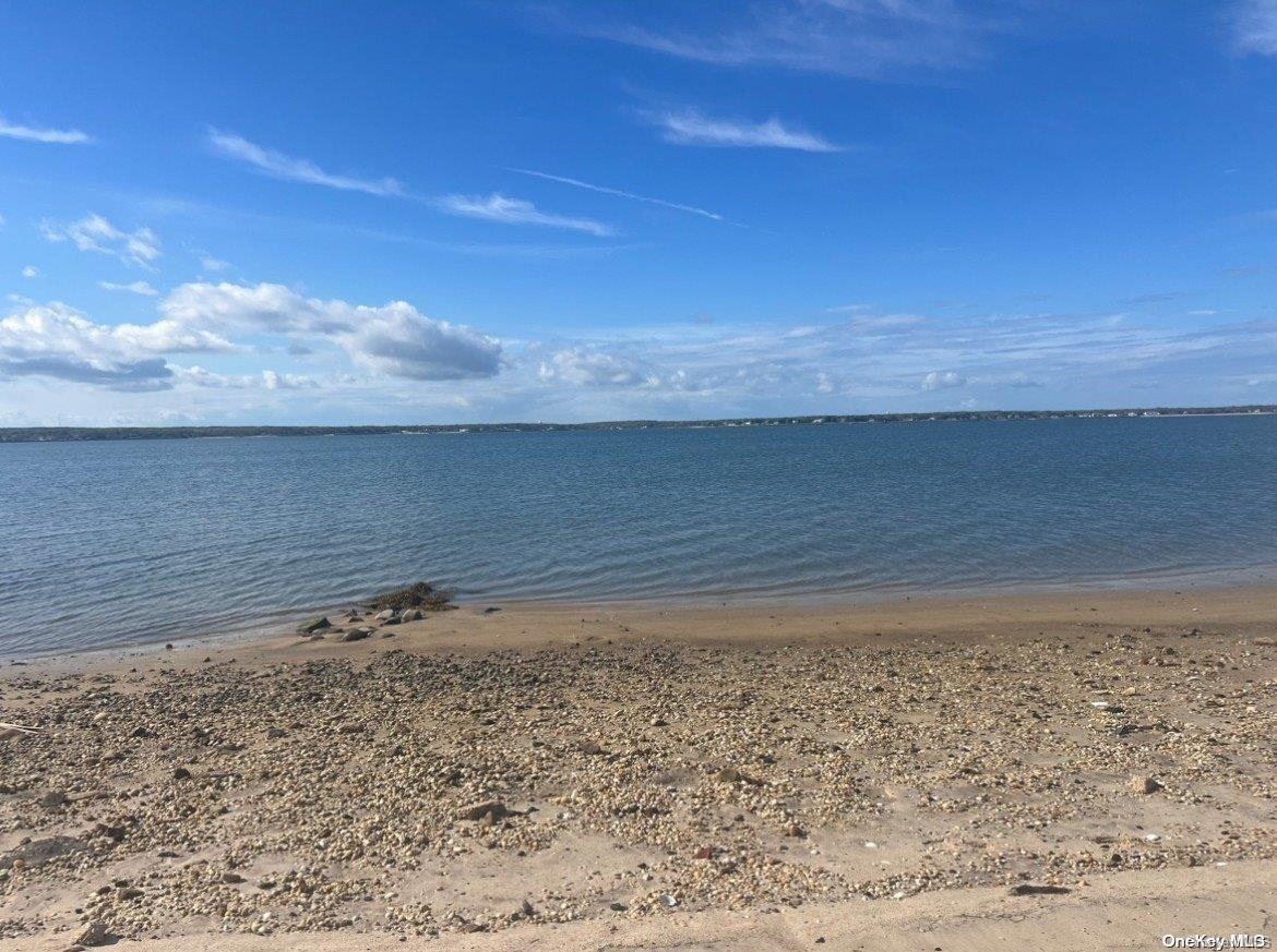 53 Dune Road Hampton Bays, NY 11959 - Photo 14 of 20 a view of a dry yard