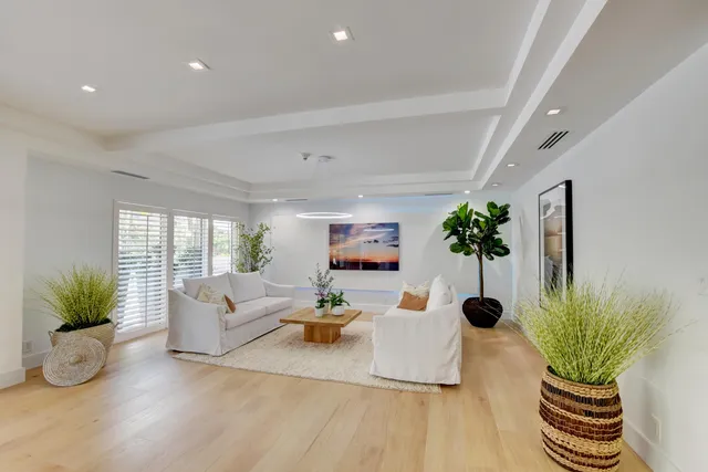 a living room with furniture and a potted plant