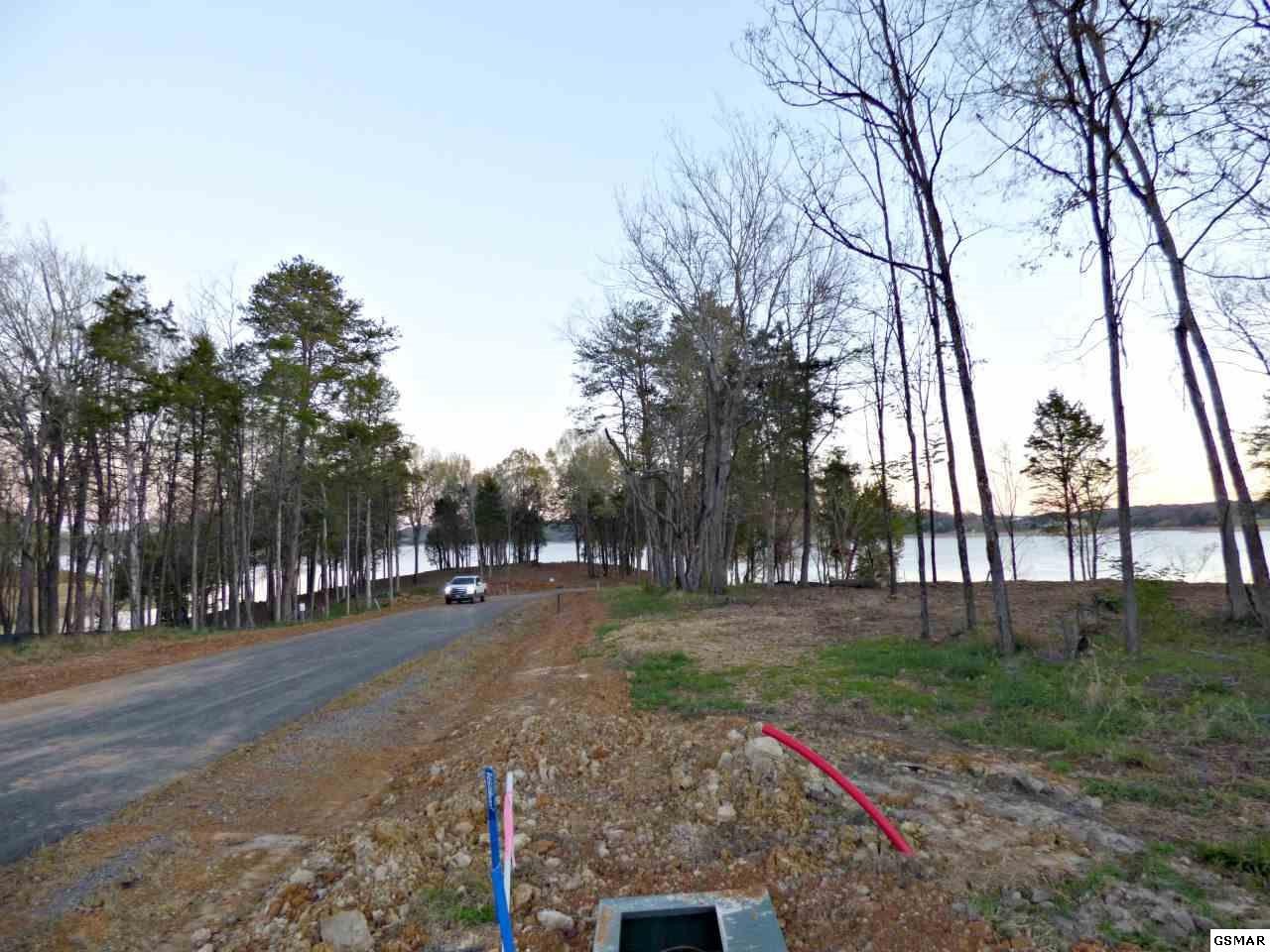126 Ridge Point Trail Dandridge, TN 37725 - Photo 6 of 15 Gallery Image 6